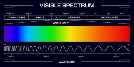 Visible spectrum light, Vector diagram, showing the range of electromagnetic wavelengths from violet to red, includes gamma rays, x-rays, uv, infrared and radio waves frequency scale in nanometersのイラスト素材