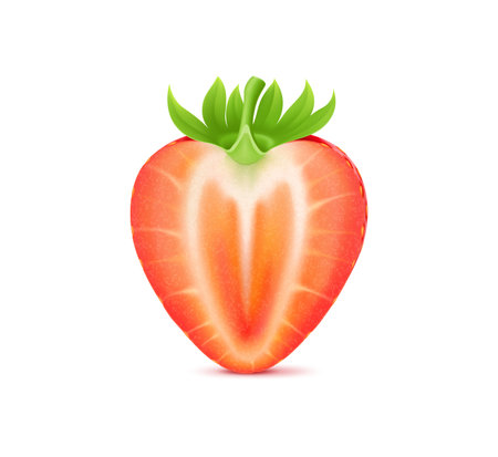 3d realistic raw ripe strawberry fruit half with green leaves. Isolated vector garden berry showcasing its rich red juicy and succulent interior, tempts with a promise of sweetness and freshnessのイラスト素材