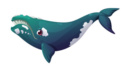 Cartoon right whale character. Marine mammal cute character, ocean fauna and wildlife big animal funny vector cartoon personage. Oceanarium underwater life whale specie cheerful isolated mascotのイラスト素材