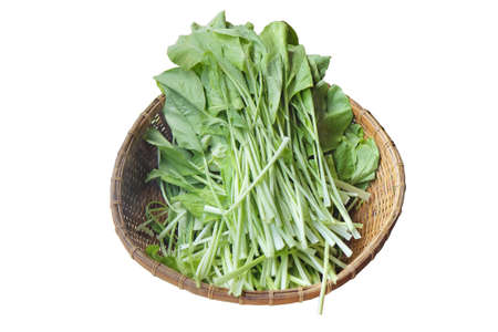 vegetable in basketの写真素材