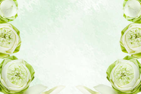 folding Thai lotus frame on clear water backgroundの写真素材