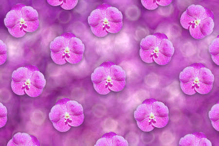 Orchids background