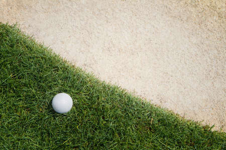 golf ball on greenの写真素材