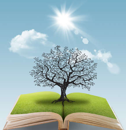 open book of the big tree fantacyの写真素材