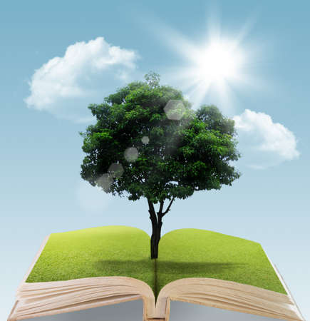 Book with tree on natural background  education concept