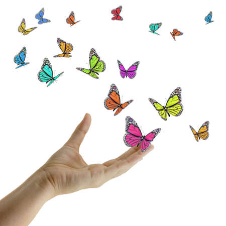Hand releasing exotic butterflies on whiteの写真素材