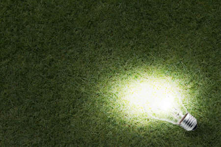 Light bulb backgroundの写真素材