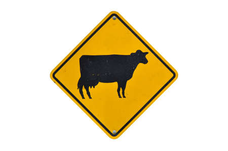 Cattle traffic warning on whiteの写真素材