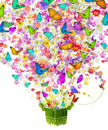butterfly on many flowers の写真素材