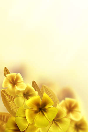 abstract Floral backgroundの写真素材