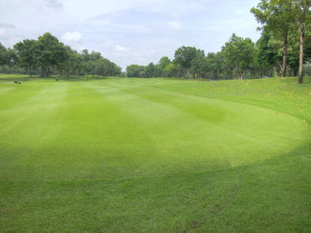 Golf ball on green teeの写真素材