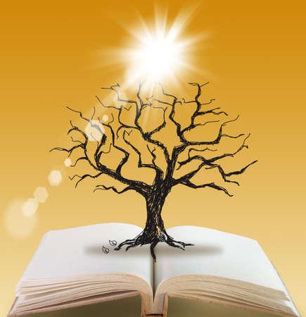 open book of Silhouette dead tree without leavesの写真素材
