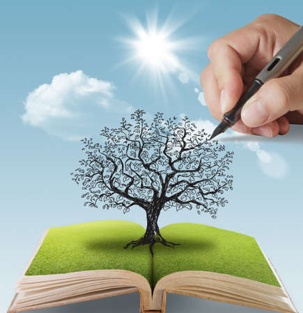 open book of hand drawn the big treeの写真素材