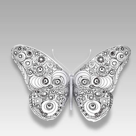 hand drawn butterfly on whiteの写真素材