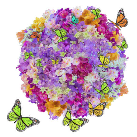 plenty flower and butterfly isolated on white backgroundの写真素材