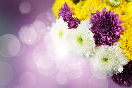 Dahlia Autumn flower design.With copy-spaceの写真素材
