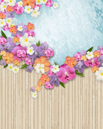 butterfly on many flowers の写真素材