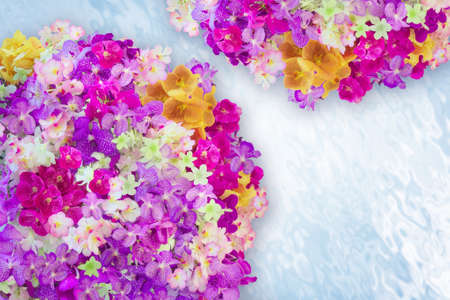 Orchid Bloomsの写真素材