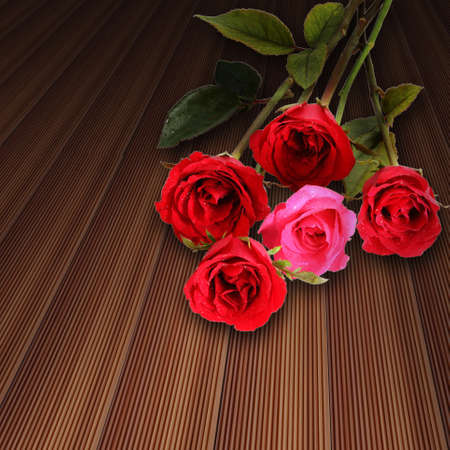 many red rosesの写真素材