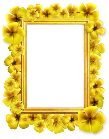 abstract Floral backgroundの写真素材