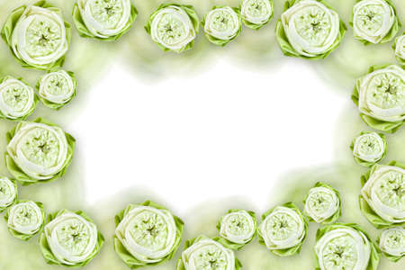 lotus flowerの写真素材