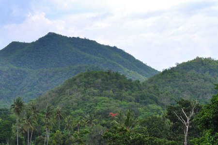 Mountains with green forest landscape.の写真素材