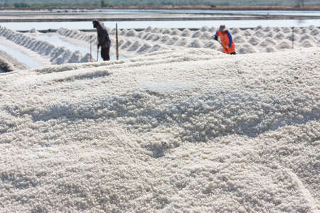 Salt texture with farmer, salt pile in Thailand, salt panの写真素材