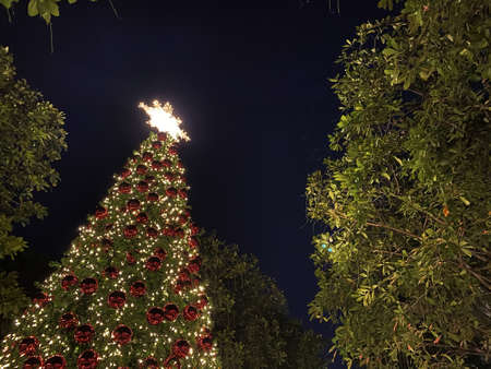 Christmas garland with ornaments and Season Wishes.
