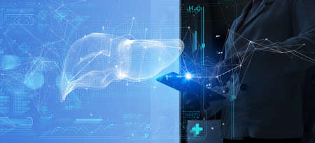 Medicine woman doctor touching digital medical record tablet with Liver. AR of healthcare and network connection on hologram modern Ui forTreatment and diagnostics of liverの写真素材