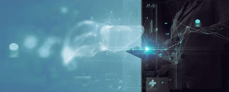 Ui forTreatment and diagnostics of liver.Medicine woman doctor touching digital medical record tablet with Liver. AR of healthcare and network connection on hologram modern technology.の写真素材