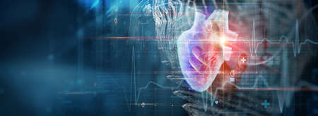 Cardiologist doctor diagnosis patient heart functions and blood vessel on virtual dashboard. Medical...