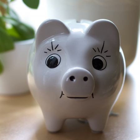 White piggy bank with funny face in the background a green plantの写真素材