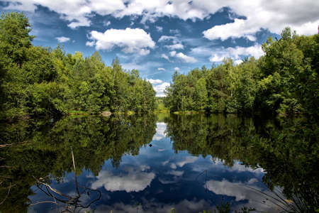 Reflection of the sky and the clouds in a small forest lake in the Black Forest の写真素材
