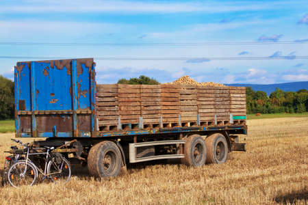 A trailer with potato boxes in a field, on the trailer tongue lean bikes の写真素材