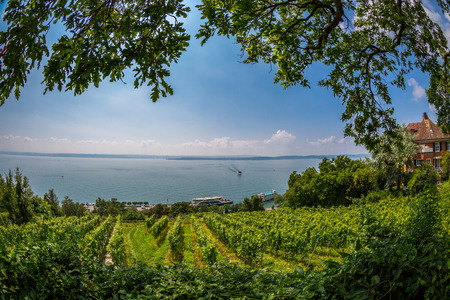Views over the vineyards of Meersburg down by the lake you can see the pier of Lake Constance ferry.の写真素材