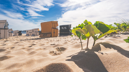 A sandy beach with beach chairs in the sunshine and with a slight dull lookのeditorial素材