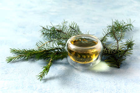 hot christmas tea glass spherical cup pine on a light backgroundの写真素材