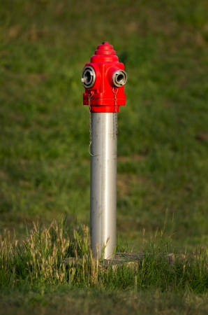 City red fire hydrant placed in grass の写真素材