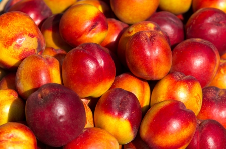 Fresh juicy nectarine on pileの写真素材