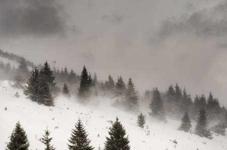 Snowstorm on high mountain slope with ropeway in backgroundの写真素材