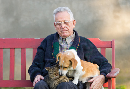 Senior man wirh dog and cat on his lap on benchの写真素材
