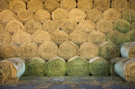 Rolled hay bales stacked in storageの写真素材
