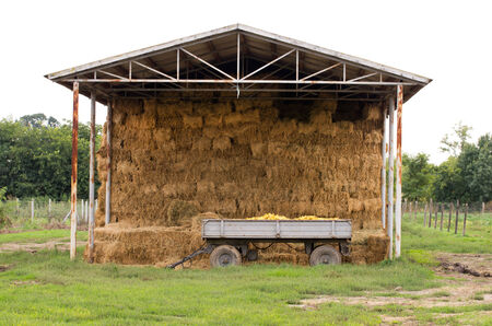 Storage of straw bales and trailer with cornの写真素材