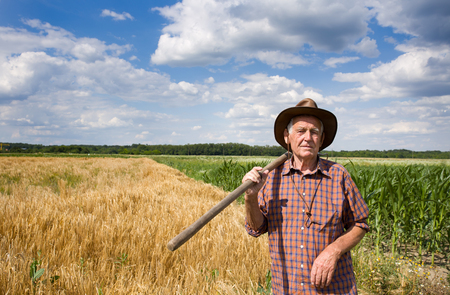 Old man farmer holding fork in front of corn and barley field and looking at cameraの写真素材