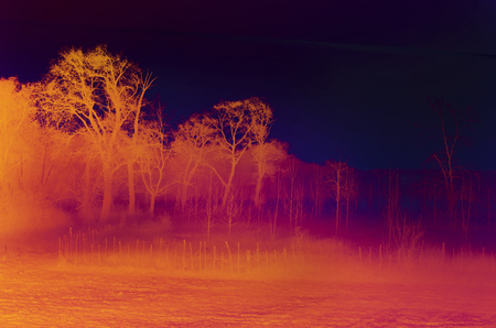 Orange and red landscape of plains on foggy morningの写真素材