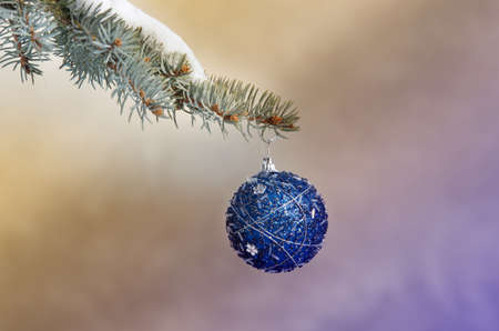 Christmas decoration ball hanging on tree on violet backgroundの写真素材