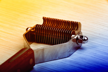 Tools for trimming and grooming the dogの写真素材