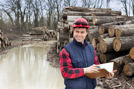Young lumber engineer standing with notebook beside cut trunk stock