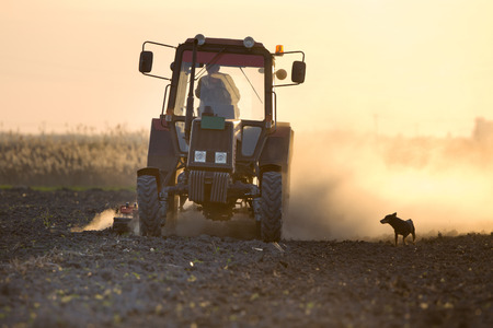 Rural scene of tractor plowing field in sunset while dog is making his companyの写真素材