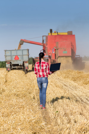 Young beautiful woman in plaid shirt standing with laptop in wheat field and looking at combine harvester and tractor trailerの写真素材